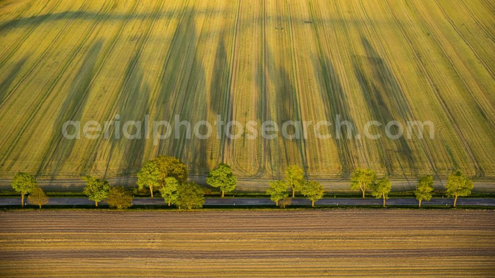 Altenhof from the bird's eye view: View of the road L 206 in Altenhof in the state Mecklenburg-West Pomerania