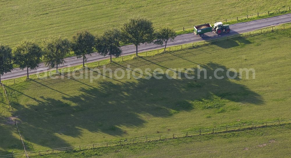 Gladbeck from above - Country road between Kirchhellen and Gladbeck with a group of trees on the roadside, fenced fields and a green tractor in the state North Rhine-Westphalia