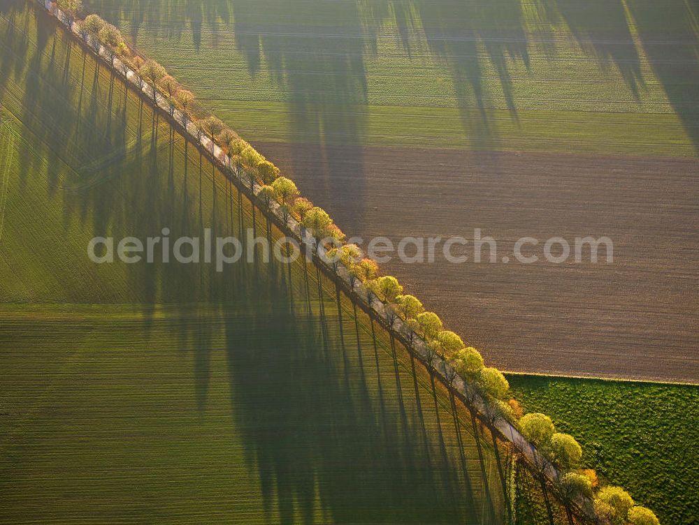 Aerial image Werl - Blick auf eine Herbstlandschaft mit Landstraße, Feldern, Bäumen und Schatten. View of an autumn landscape with road, fields, trees and shadows.