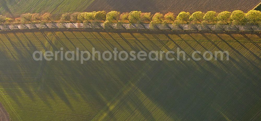 Aerial photograph Werl - Blick auf eine Herbstlandschaft mit Landstraße, Feldern, Bäumen und Schatten. View of an autumn landscape with road, fields, trees and shadows.