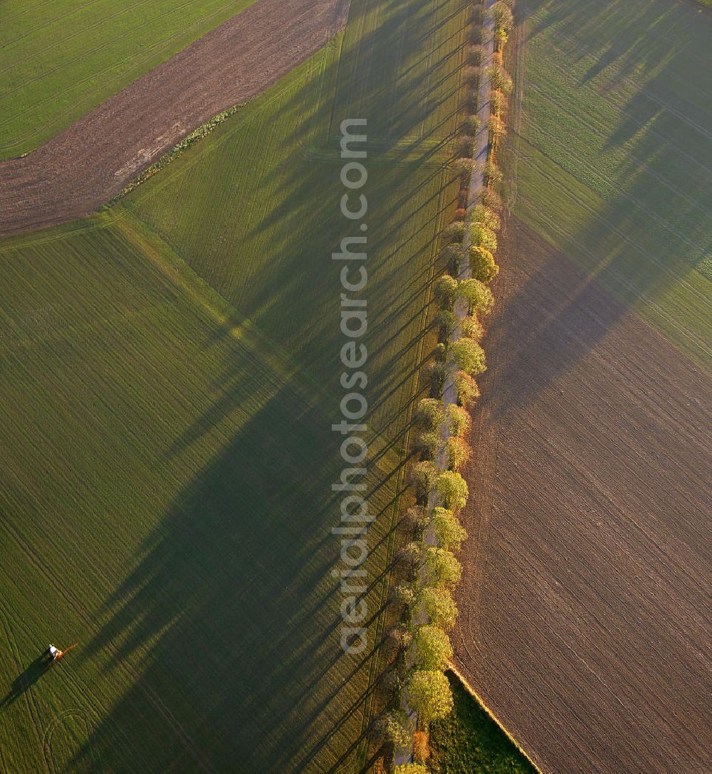 Werl from the bird's eye view: Blick auf eine Herbstlandschaft mit Landstraße, Feldern, Bäumen und Schatten. View of an autumn landscape with road, fields, trees and shadows.