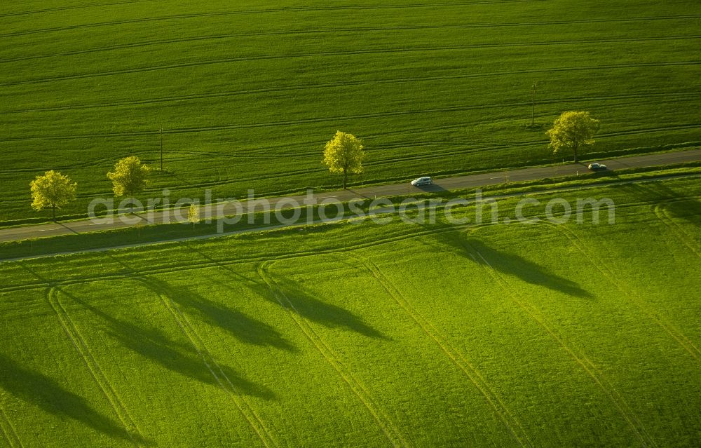 Aerial image Klink - View of a road in Klink in the state Mecklenburg-West Pomerania