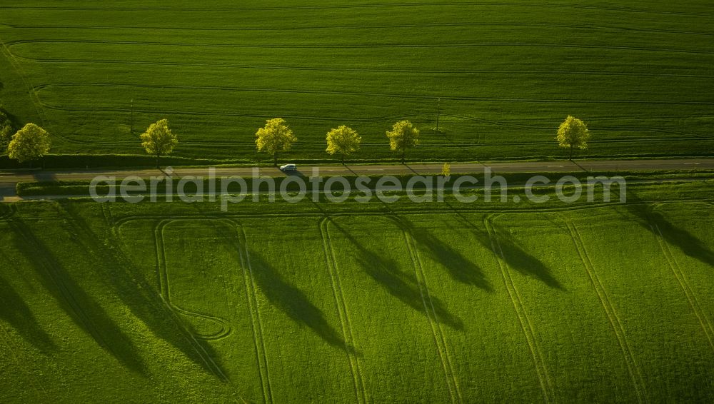 Aerial photograph Klink - View of a road in Klink in the state Mecklenburg-West Pomerania