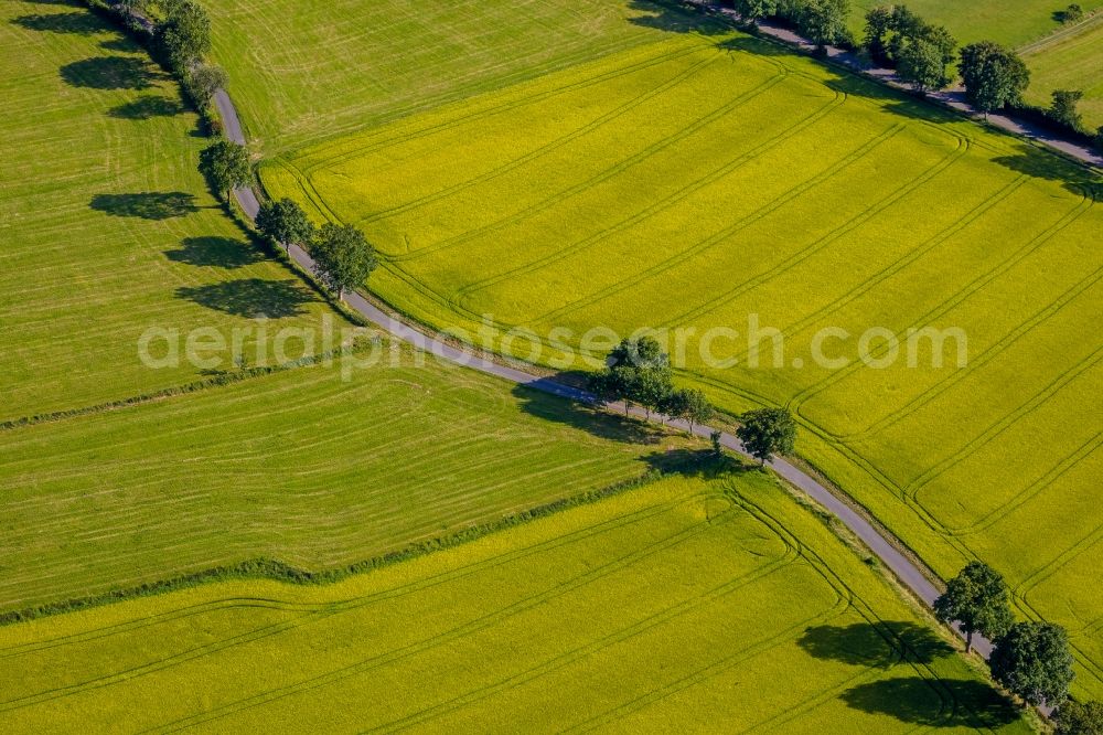 Schmallenberg from above - View of a road in Schmallenberg in the state North Rhine-Westphalia