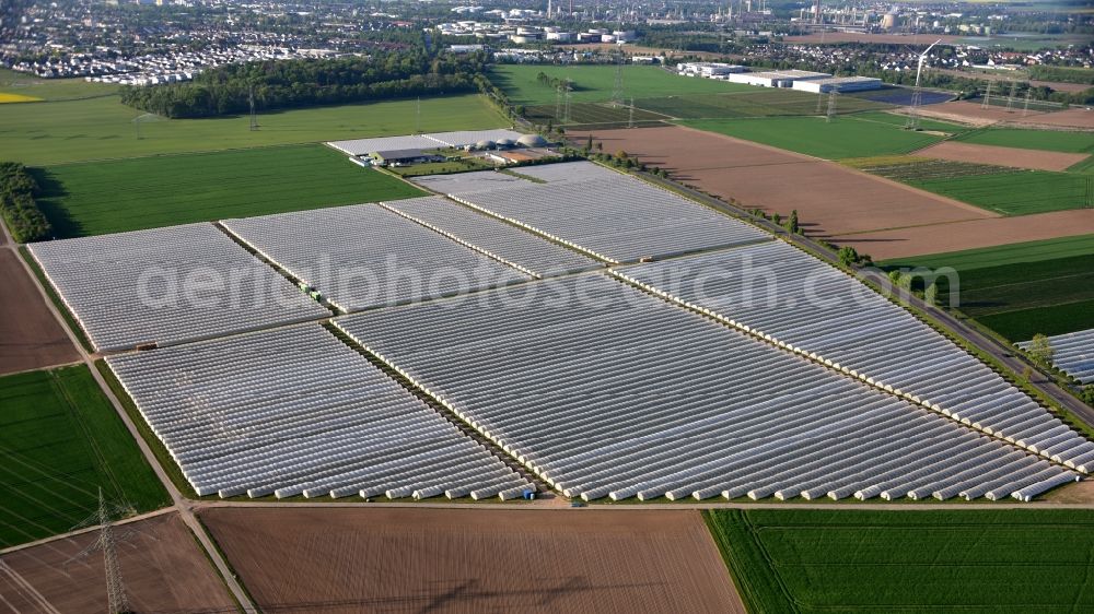 Bornheim from above - Agricultural area south of Keldenichin Bornheim in the state North Rhine-Westphalia, Germany