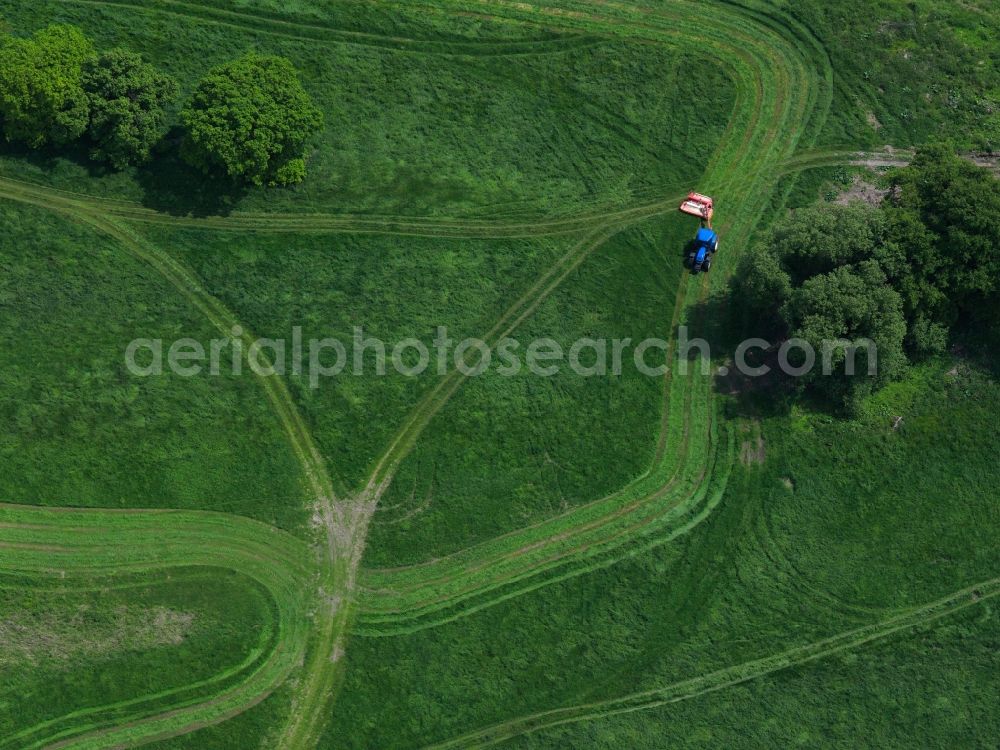 Burg (bei Magdeburg) from above - Agricultural vehicles harvesting in the region of Jerichower Land near Burg in the state of Sachsen-Anhalt. Tractors doing farm work in the symetrical fields of the region