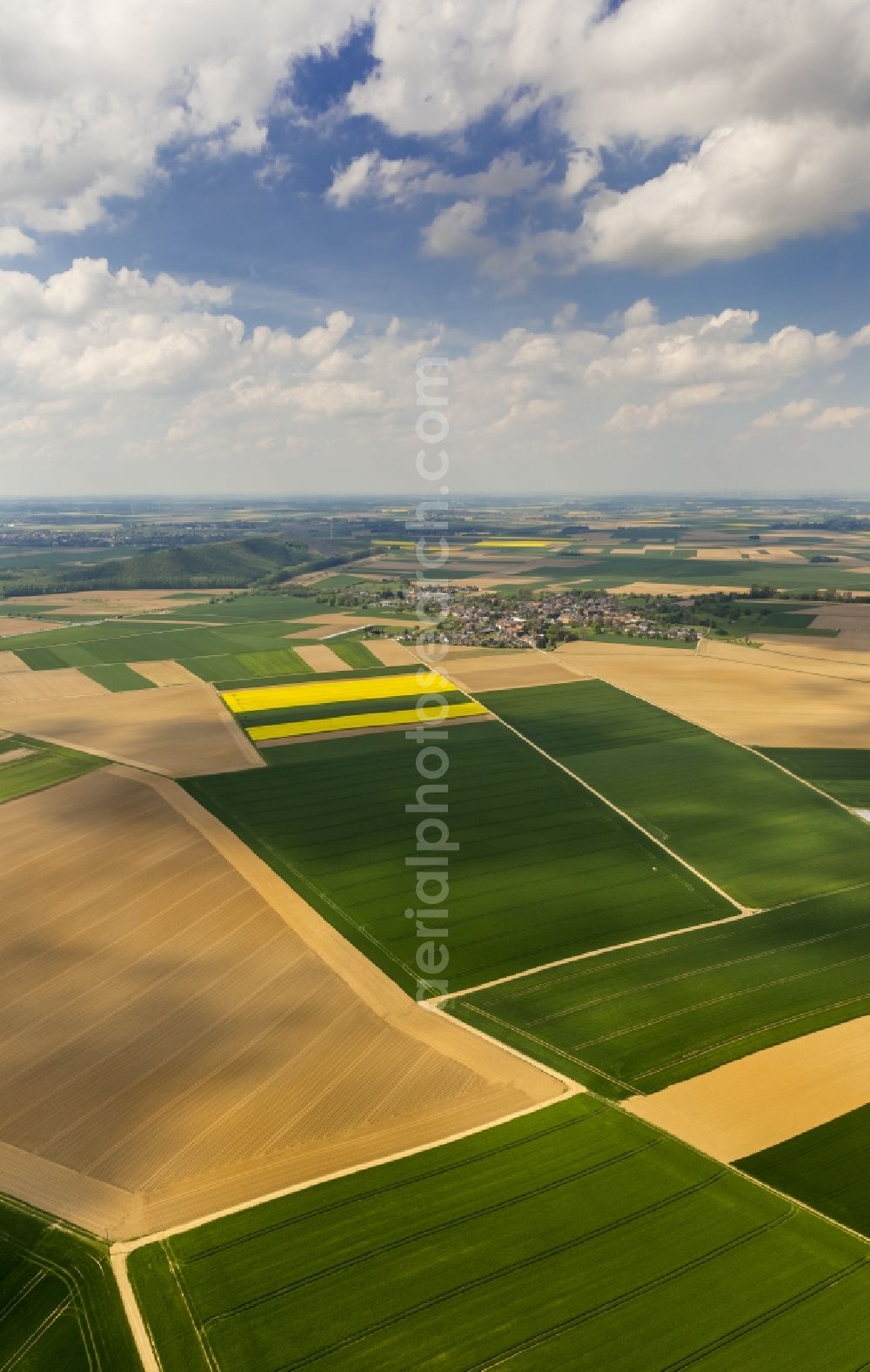 Baesweiler from the bird's eye view: Agricultural field - at Baesweiler structures in North Rhine-Westphalia