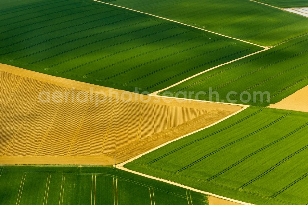 Aerial photograph Baesweiler - Agricultural field - at Baesweiler structures in North Rhine-Westphalia