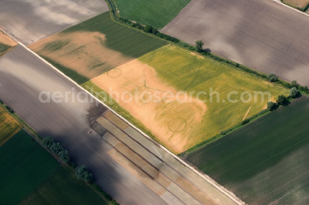 Worms from the bird's eye view: Agricultural field structures in Ibersheim Rhineland-Palatinate