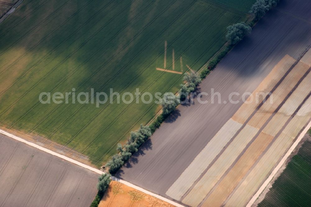 Aerial image Worms - Agricultural field structures in Ibersheim Rhineland-Palatinate