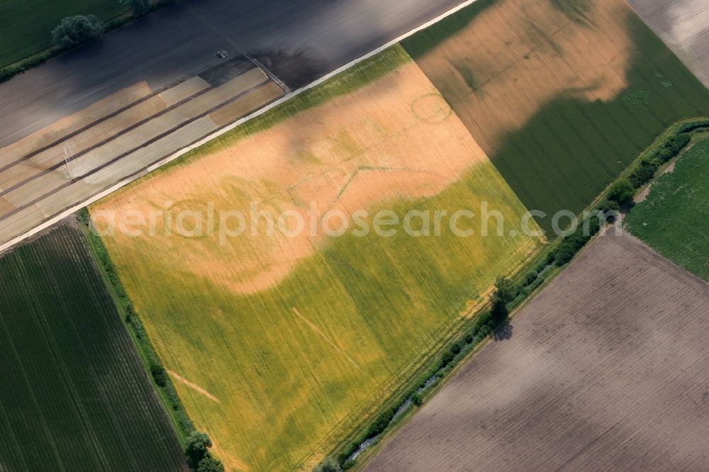 Aerial photograph Worms - Agricultural field structures in Ibersheim Rhineland-Palatinate