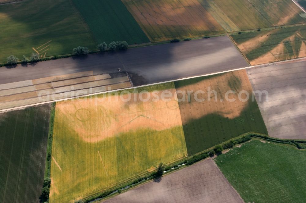 Worms from above - Agricultural field structures in Ibersheim Rhineland-Palatinate