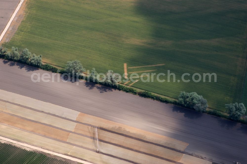 Worms from the bird's eye view: Agricultural field structures in Ibersheim Rhineland-Palatinate