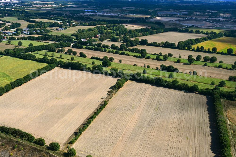 Tarbek from the bird's eye view: Agricultural land and field boundaries surround the settlement area of the village in Tarbek in the state Schleswig-Holstein, Germany