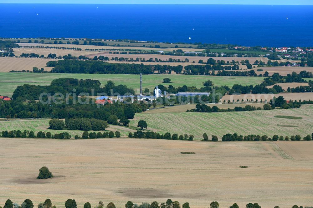 Klütz from the bird's eye view: Agricultural land and field boundaries surround the settlement area of the village in the district Grundshagen in Kluetz in the state Mecklenburg - Western Pomerania, Germany