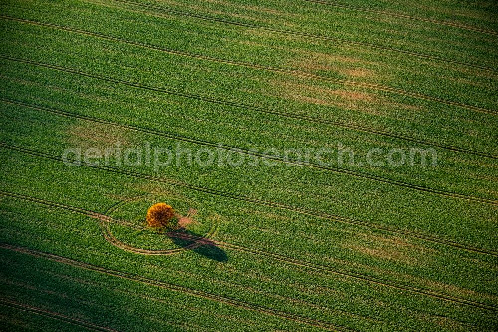 Ivenack from above - View of an agricultural area near Ivenack in the state Mecklenburg-West Pomerania