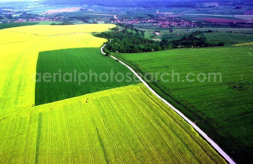 Aerial image Burg / Sachsen - Anhalt - Landwirtschaftliche Nutzflächen bei Burg.