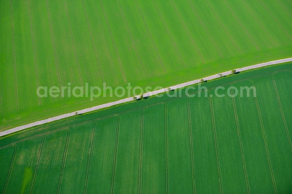 Amt Wachsenburg Haarhausen from the bird's eye view: View of an agricultural area near Haarhausen in Amt Wachsenburg in the state Thuringia