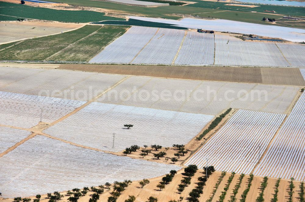 Aerial image Los Martinez - Agricultural land near the city Los Martinez in the region of Murcia in Spain