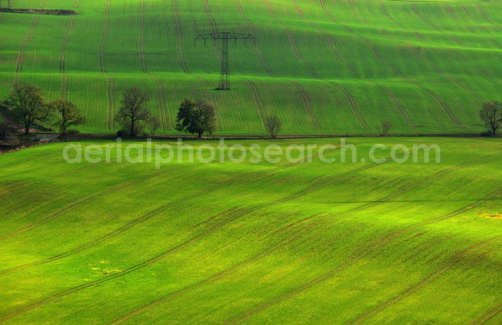 Aerial photograph Schönbeck - View of an agricultural area near Schoenbeck in the state Mecklenburg-West Pomerania