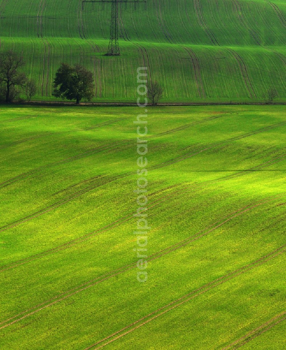 Schönbeck from above - View of an agricultural area near Schoenbeck in the state Mecklenburg-West Pomerania