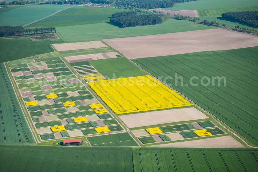 Dahnsdorf from the bird's eye view: View of trial fields at the highway B102 Dahnsdorf in the state Brandenburg