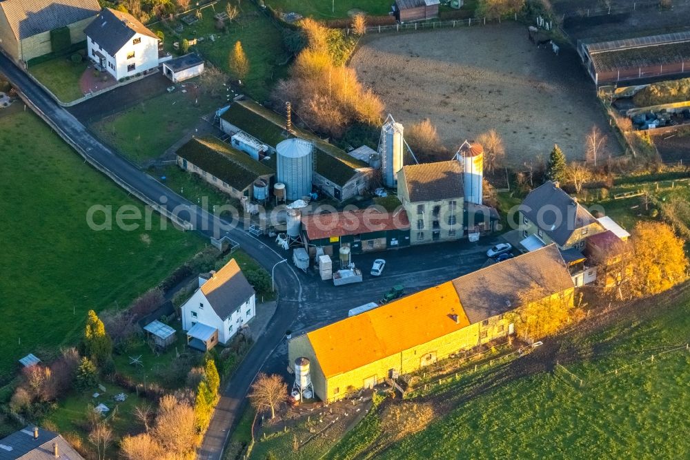 Aerial image Werl - Farm on the Muehlenstrasse and riding facility in Werl in the state of North Rhine-Westphalia, Germany