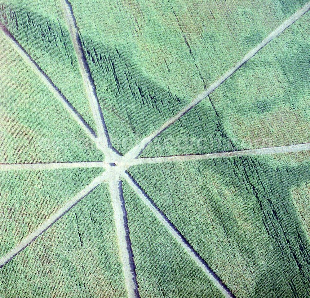 Lübben / Brandenburg from the bird's eye view: Landwirtschaftliches Versuchsfeld südöstlich von Lübben in Brandenburg.