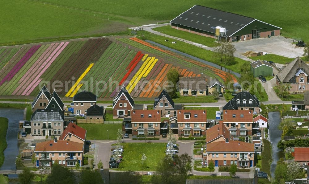 Aerial image Berkhout - Agriculture - Landscape with fields of tulips to flower production in Berkhout in North Holland Holland / Netherlands