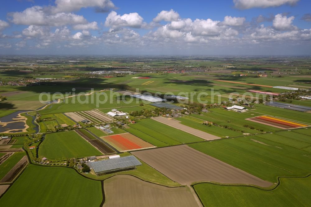 Aerial image Ursem - Agriculture - Landscape with fields of tulips to flower production in Ursem in North Holland Holland / Netherlands