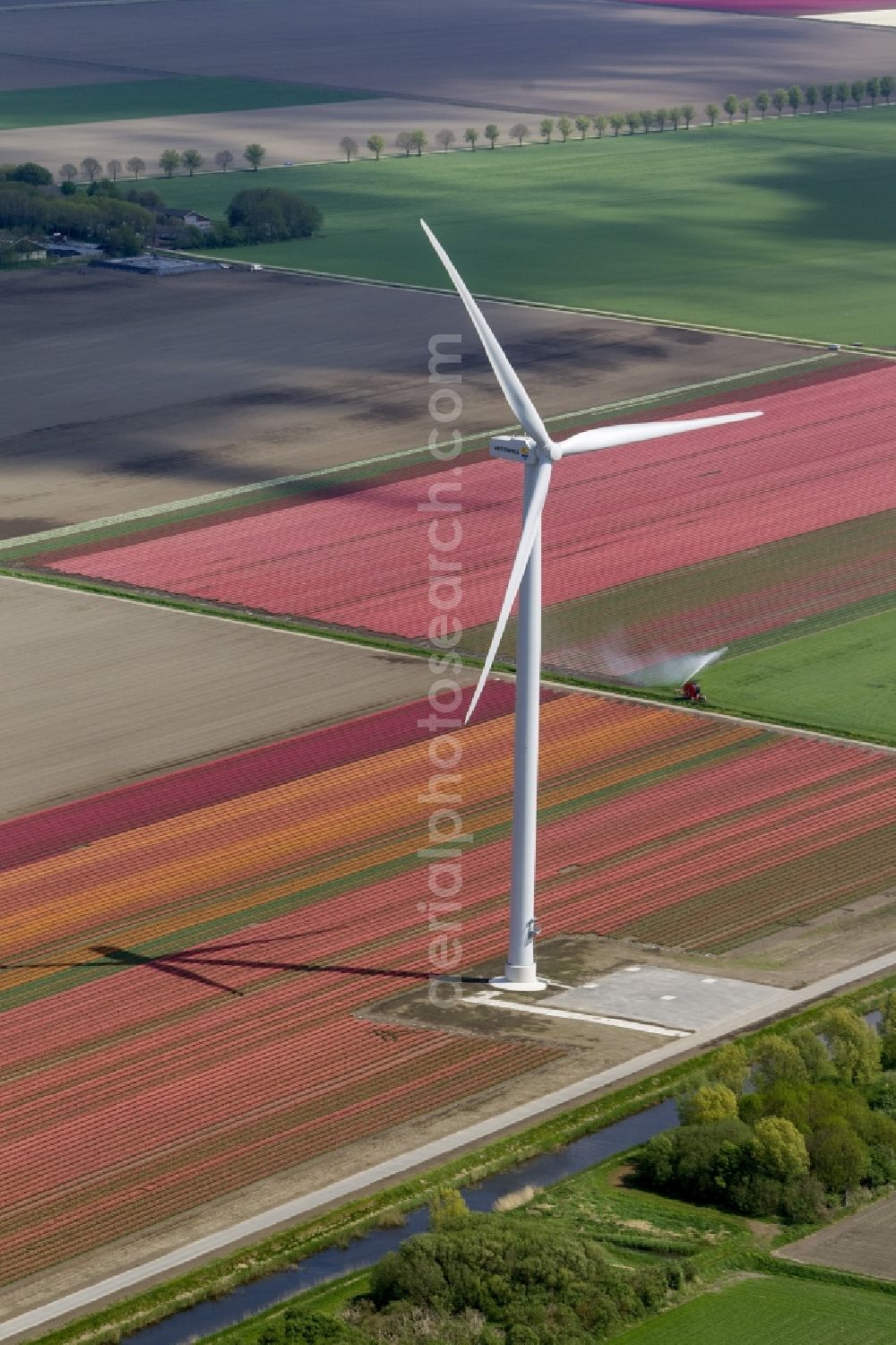 Aerial image Zeewolde - Agriculture - Landscape with wind turbines on a wind power plant tulip fields to flower production in Zeewolde in North Holland Holland / Netherlands