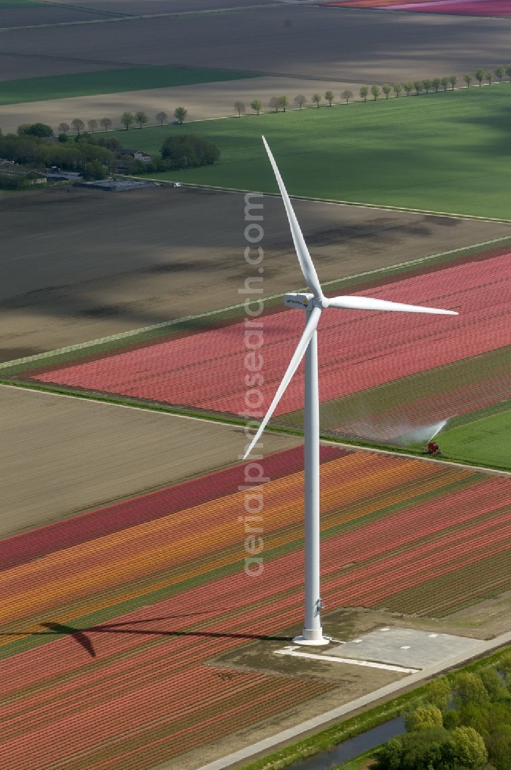 Zeewolde from above - Agriculture - Landscape with wind turbines on a wind power plant tulip fields to flower production in Zeewolde in North Holland Holland / Netherlands