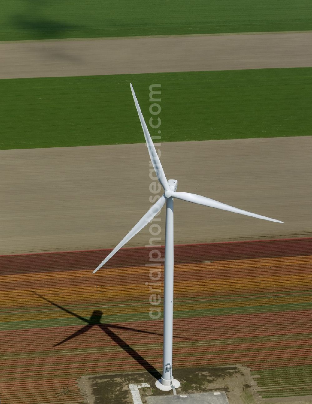 Aerial image Zeewolde - Agriculture - Landscape with wind turbines on a wind power plant tulip fields to flower production in Zeewolde in North Holland Holland / Netherlands