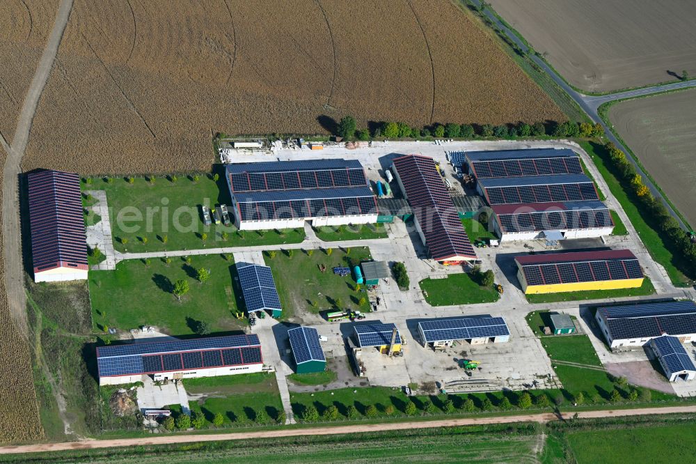 Aerial photograph Isterbies - Farm of LIRS Agrar- und Dienstleistungs GmbH in Isterbies in the state Saxony-Anhalt, Germany