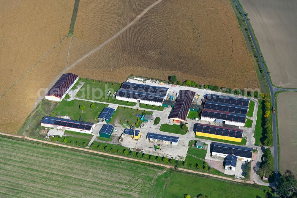 Isterbies from above - Farm of LIRS Agrar- und Dienstleistungs GmbH in Isterbies in the state Saxony-Anhalt, Germany