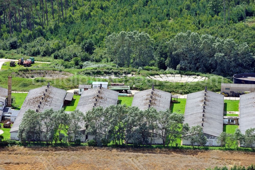 Walkendorf from above - Animal farm in Walkendorf in Mecklenburg Western Pomerania