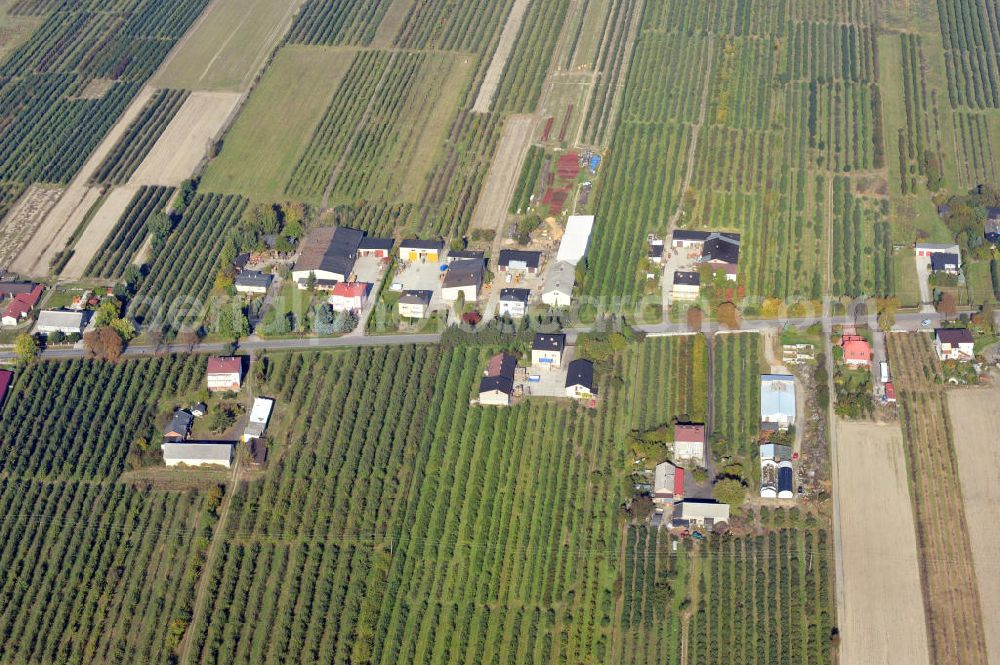 Polkowice / Polkwitz from the bird's eye view: Farm houses near Polkowice in Poland