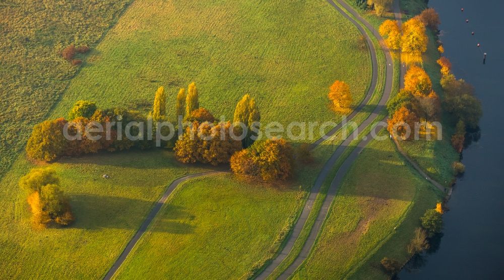 Hattingen from above - Trees in autumn in the nature protection area of Alte Ruhr - Katzenstein in Hattingen in the state of North Rhine-Westphalia