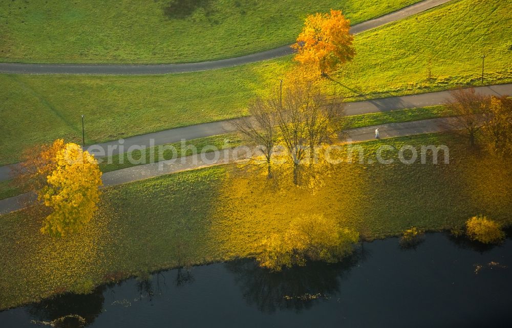 Hattingen from the bird's eye view: Trees in autumn in the nature protection area of Alte Ruhr - Katzenstein in Hattingen in the state of North Rhine-Westphalia