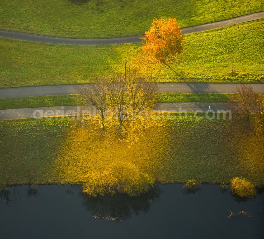 Aerial image Hattingen - Trees in autumn in the nature protection area of Alte Ruhr - Katzenstein in Hattingen in the state of North Rhine-Westphalia