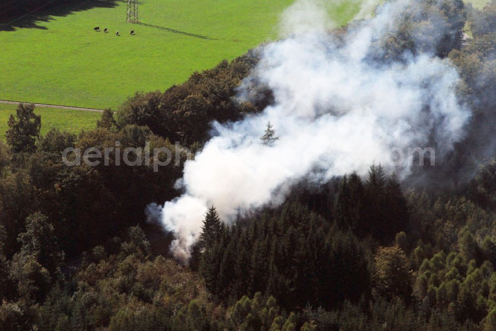 Aerial image Schwanheim - Blick auf Laubverbrennung in einem Waldstück bei Schwanheim, einem Ortsteil der Gemeinde Schönbrunn in Baden-Württemberg. Kontakt: Gemeinde Schönbrunn, Herdestraße 2 69436 Schönbrunn, tel. +49(0)6272 9300 0, Fax +49(0)6272 9300 70, Email Bürgermeister: jan.frey@gemeinde-schoenbrunn.de