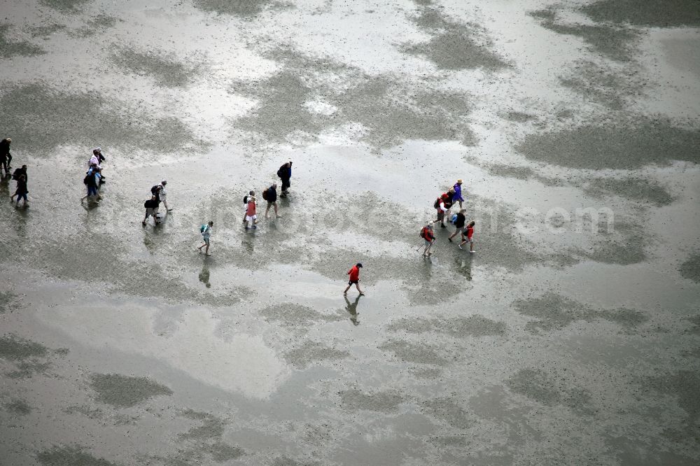 Aerial image Neuwerk - Running, walking, riding and driving carriages at the beach with the Wadden Sea to the North Sea - Coastal landscape along the Neuwerk