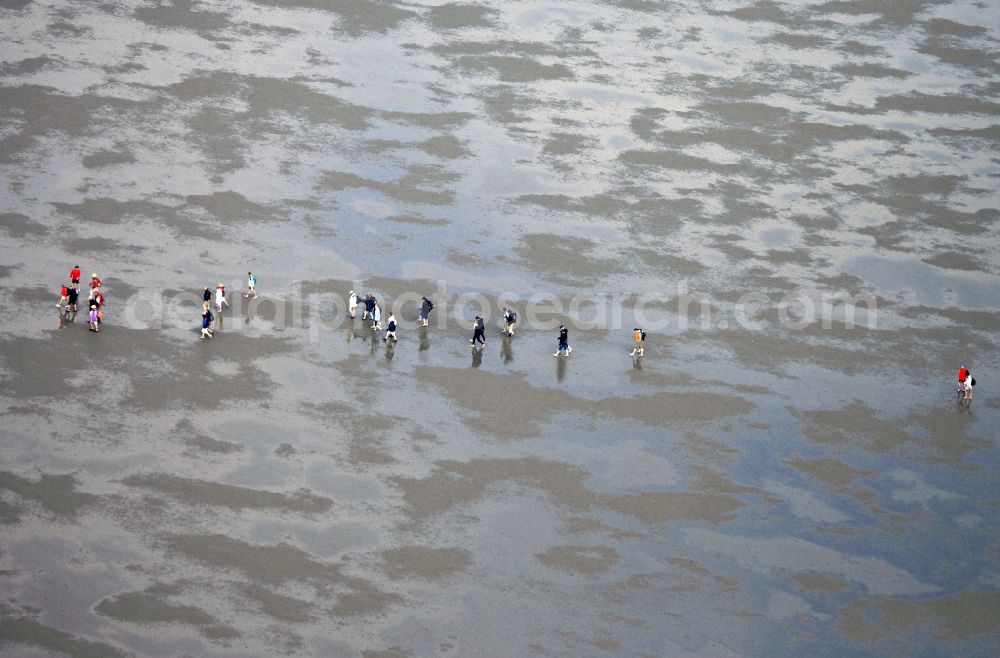 Aerial photograph Neuwerk - Running, walking, riding and driving carriages at the beach with the Wadden Sea to the North Sea - Coastal landscape along the Neuwerk