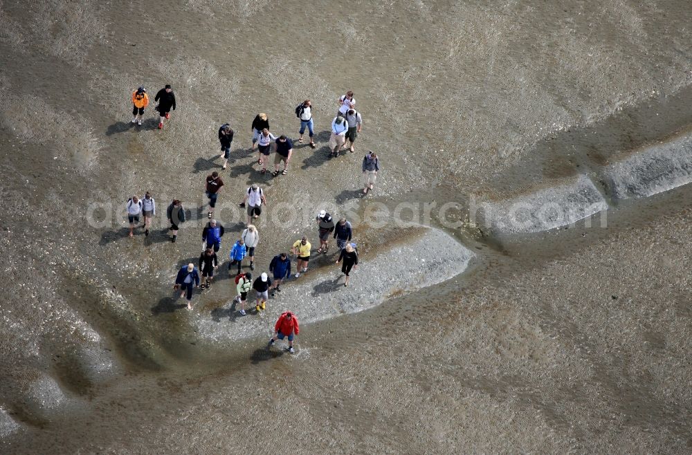 Aerial image Neuwerk - Running, walking, riding and driving carriages at the beach with the Wadden Sea to the North Sea - Coastal landscape along the Neuwerk