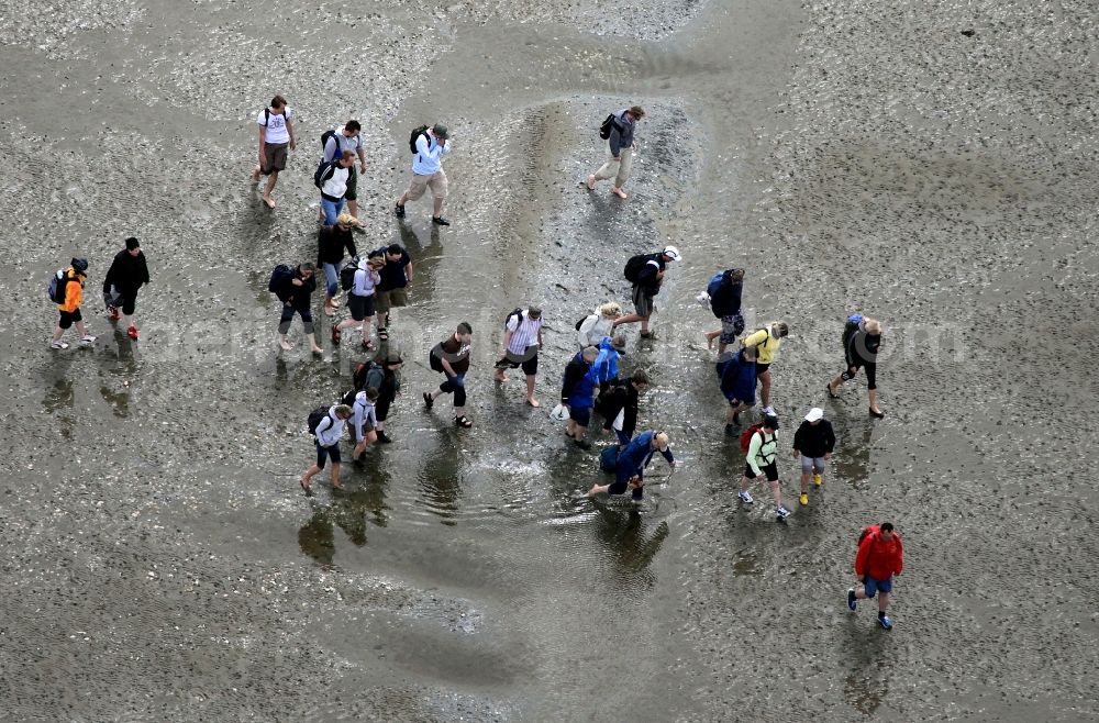 Aerial photograph Neuwerk - Running, walking, riding and driving carriages at the beach with the Wadden Sea to the North Sea - Coastal landscape along the Neuwerk