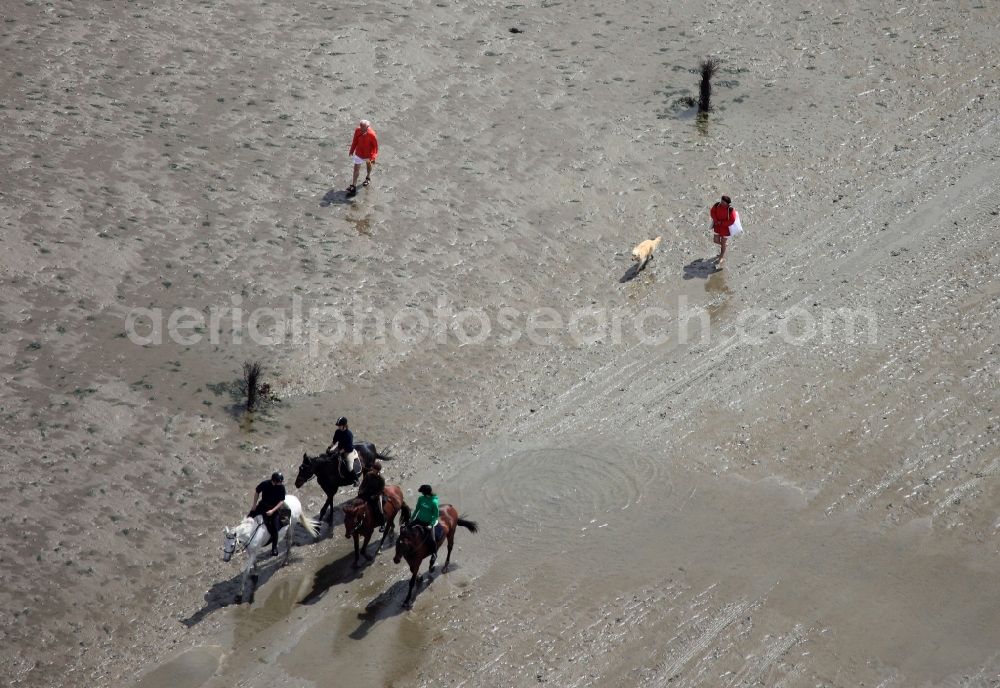 Neuwerk from the bird's eye view: Running, walking, riding and driving carriages at the beach with the Wadden Sea to the North Sea - Coastal landscape along the Neuwerk