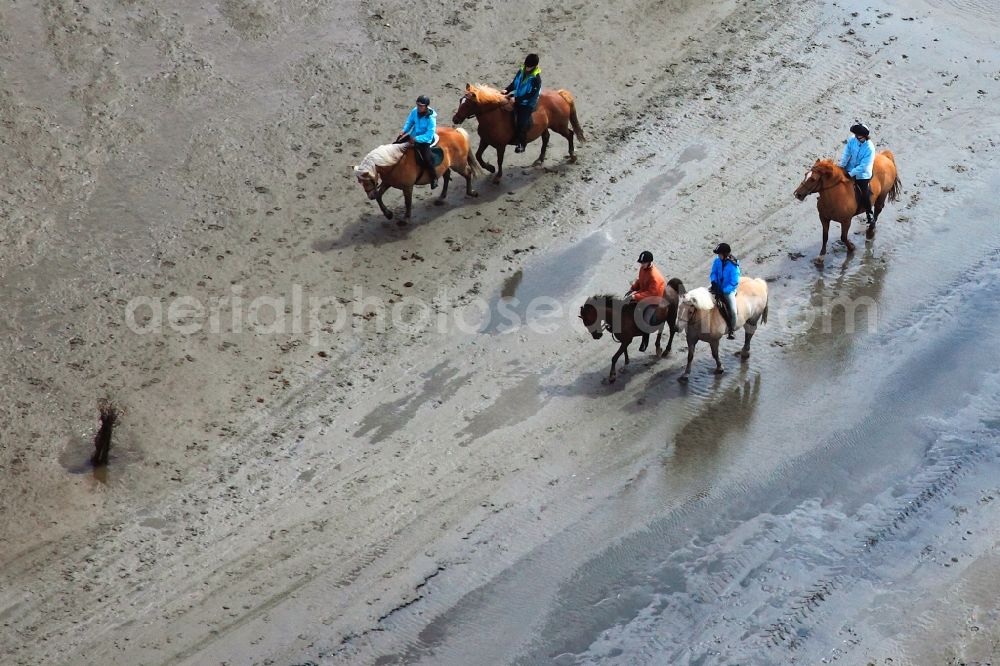 Aerial photograph Neuwerk - Running, walking, riding and driving carriages at the beach with the Wadden Sea to the North Sea - Coastal landscape along the Neuwerk