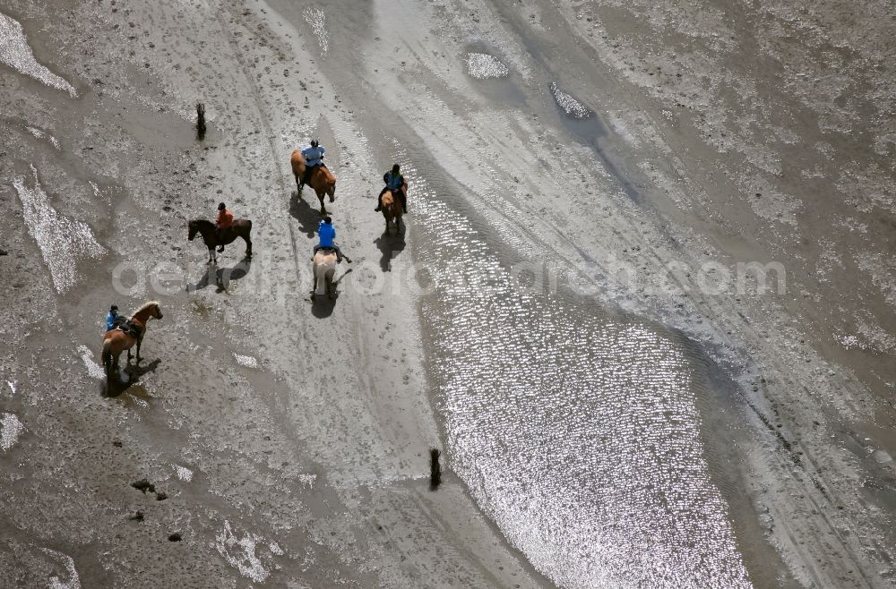 Aerial image Neuwerk - Running, walking, riding and driving carriages at the beach with the Wadden Sea to the North Sea - Coastal landscape along the Neuwerk