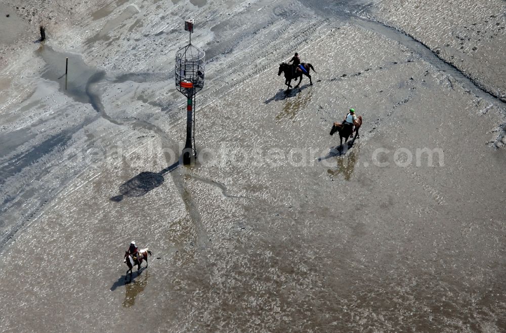 Aerial photograph Neuwerk - Running, walking, riding and driving carriages at the beach with the Wadden Sea to the North Sea - Coastal landscape along the Neuwerk