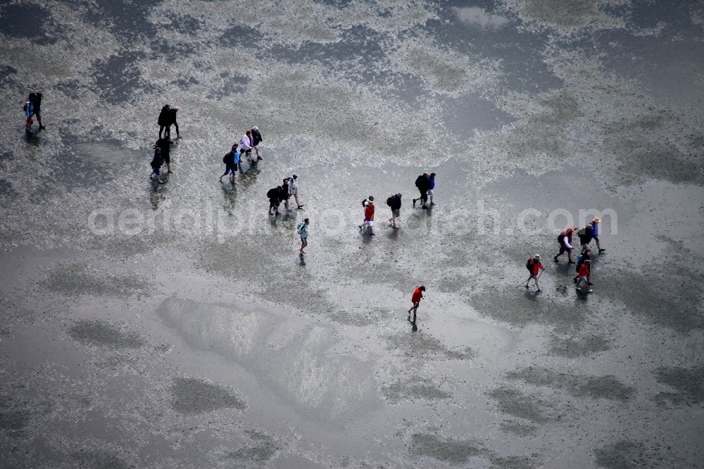 Neuwerk from the bird's eye view: Running, walking, riding and driving carriages at the beach with the Wadden Sea to the North Sea - Coastal landscape along the Neuwerk